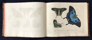 Natursystem aller bekannten in- und ausländischen Insekten: Schmetterlinge; Nach dem System des Ritters Carl von Linné bearbeitet.