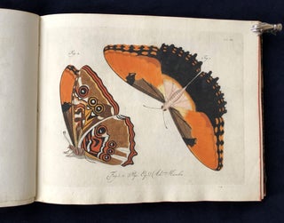 Natursystem aller bekannten in- und ausländischen Insekten: Schmetterlinge; Nach dem System des Ritters Carl von Linné bearbeitet.