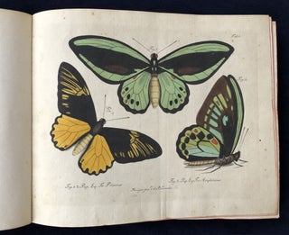 Natursystem aller bekannten in- und ausländischen Insekten: Schmetterlinge; Nach dem System des Ritters Carl von Linné bearbeitet.