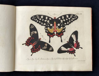 Natursystem aller bekannten in- und ausländischen Insekten: Schmetterlinge; Nach dem System des Ritters Carl von Linné bearbeitet.