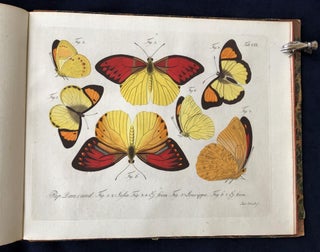 Natursystem aller bekannten in- und ausländischen Insekten: Schmetterlinge; Nach dem System des Ritters Carl von Linné bearbeitet.