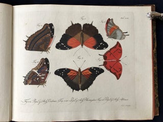 Natursystem aller bekannten in- und ausländischen Insekten: Schmetterlinge; Nach dem System des Ritters Carl von Linné bearbeitet.