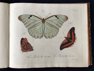 Natursystem aller bekannten in- und ausländischen Insekten: Schmetterlinge; Nach dem System des Ritters Carl von Linné bearbeitet.