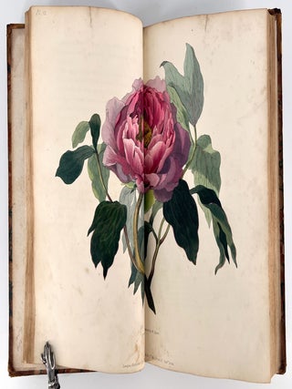 467 Flora Conspicua; A Selection of the most ornamental flowering, hard, exotic and indigenous...