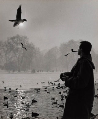 476 St. James's Park, London, 1962. Wolfgang Suschitzky, 1912 – 2016