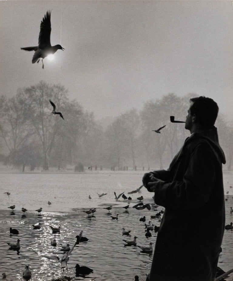 476 St. James's Park, London, 1962. Wolfgang Suschitzky, 1912 – 2016.