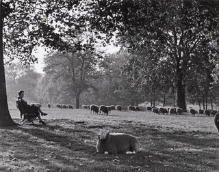 479 Hyde Park, London, 1934. Wolfgang Suschitzky