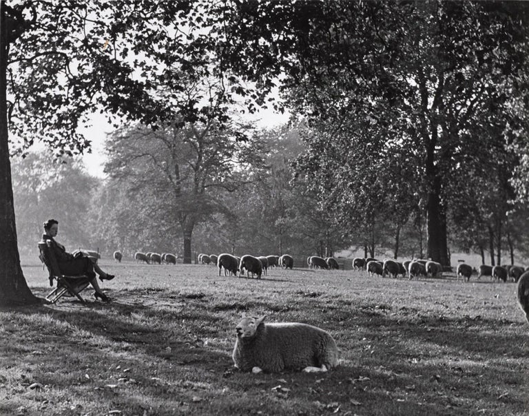 479 Hyde Park, London, 1934. Wolfgang Suschitzky.