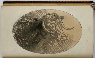 Observations, relative chiefly to, Picturesque Beauty, Made in the Year 1776, on Several Parts of Great Britain, Particularly the High-Lands of Scotland