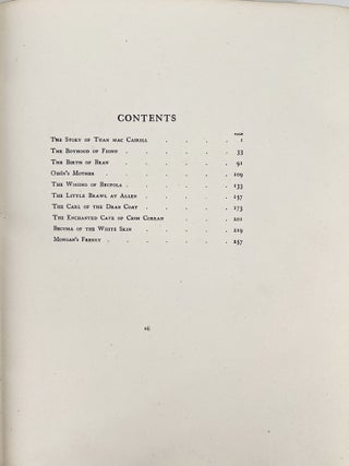 Irish Fairy Tales