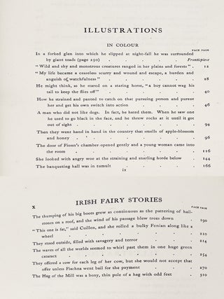Irish Fairy Tales