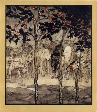Irish Fairy Tales