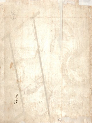 Study of horse and ox bones