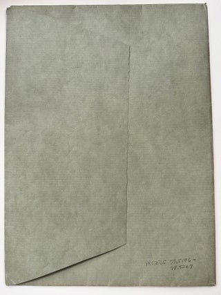 Picturesque New York; Twelve Photogravures from Monotypes