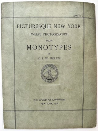 Picturesque New York; Twelve Photogravures from Monotypes